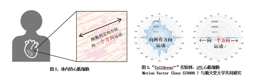 澳门正版内部绝密传真